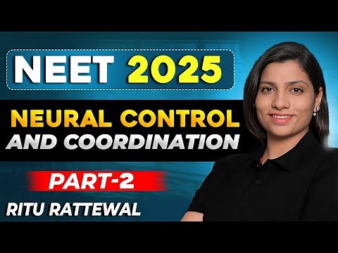 Neural Control & Coordination| Part 2| The Nervous System Explained| #neuralcontrolandcoordination