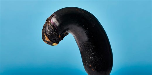 Everything You Wanted to Know About ED But Were Too Scared to Ask