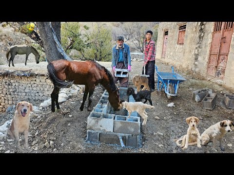 Real nomadic life, primitive survival | Building a water trough for goats and caring for goats