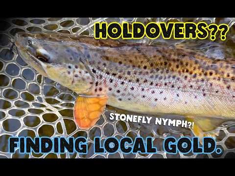 Early Spring Fly Fishing for Holdover Trout | Local Creek Action
