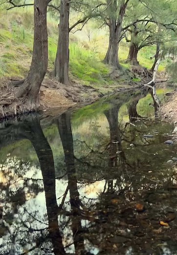 Explore Caperttee Campground: A Hidden Gem in NSW
