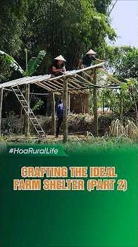 Crafting the Ideal Farm Shelter