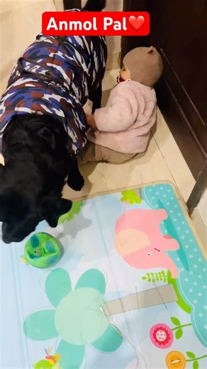 Day 2/10. Nani House k Anmol Palo ki Jhalak❤️ #phdvalimumma #motherhoodunfiltered