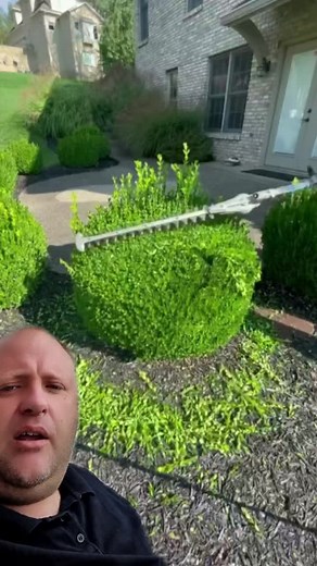 How to Maintain a Perfectly Shaped Garden Bush