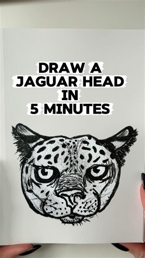 Draw a Jaguar Head With Me in Just 5 Minutes!