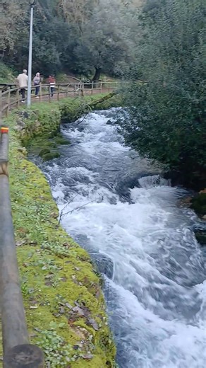 16 shares | Quarta-feira EMENTA post scriptum IMPRESSIONANTE...