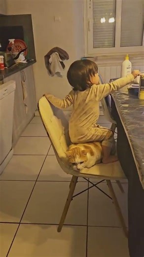 Bébé est sans pitié..#bebe #chat #mignon #papa #prtoi