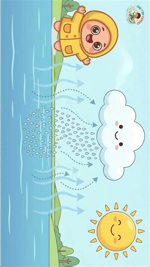 How Do Clouds Form? ☁️ | Condensation Explained for Kids!