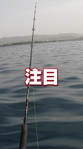 大物釣るなら！泳がせ釣りで青物攻略