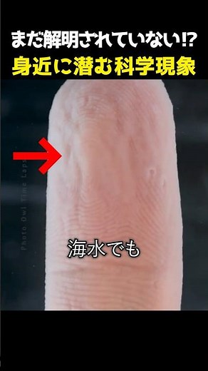 Scientific phenomena that are still unexplained?!