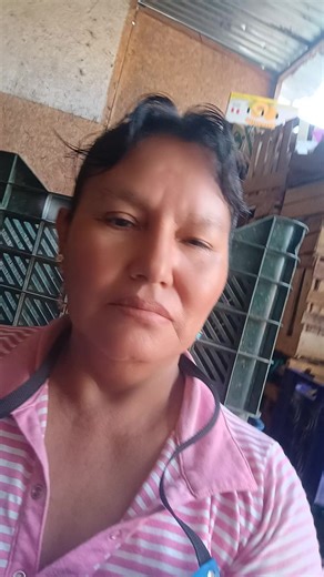 Videos de ..... (@........jsjdhd) con “sonido original - ORQUESTA JCH.5”