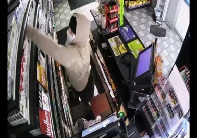 Livonia police share security video of break-in