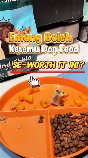 Review Dog Food, Kibble Tinggi Protein!! #shorts #cute