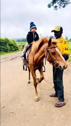 🐴 My First Pony Ride! Cute Toddler's Horse Adventure 🌟#pony