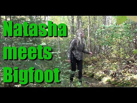 Woman meets Bigfoot in the remote Wilderness. Real Sasquatch evidence