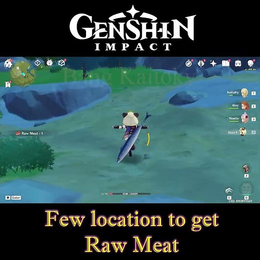 [PC] Genshin Impact - Few Location to get Raw Meat