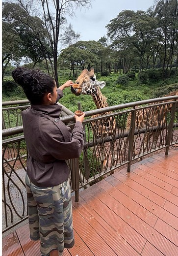 Feeding Giraffes in Kenya: An Unforgettable Experience