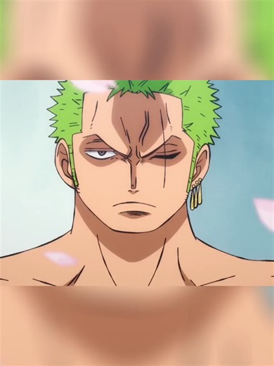 Zoro vs Samurai #onepiece #zoro #wanokuni