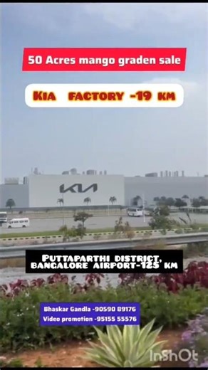 50 Acres Mango 🥭 garden sale || Puttaparthi district