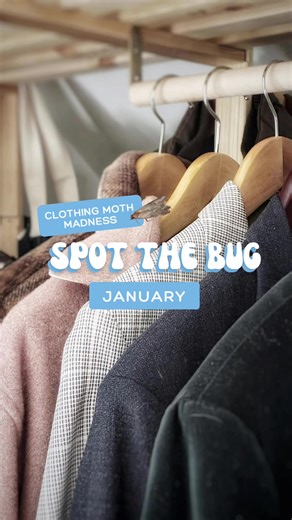 Can you #SpotTheBug for #January? See if you can spot the #clothingmoth in the closet 🦋
