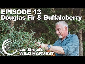 Survivorman | Wild Harvest | Season 1 | Episode 13 | Douglas Fir & Buffaloberry | Les Stroud