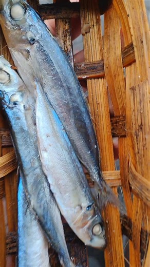 RANS ZEA FAMILY (@ranzeafamily)’s videos with suara asli - Lagu dangdut