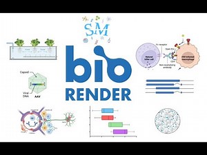 Lecture 16-Biorender | Diagrams | flow charts | Paper Figures | Icons | ‪@SciChatMindset‬"