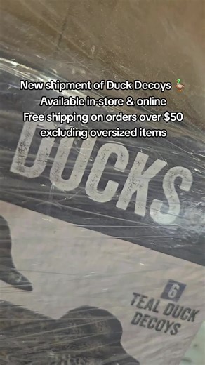 New Duck Decoys Just Arrived for Waterfowl Season