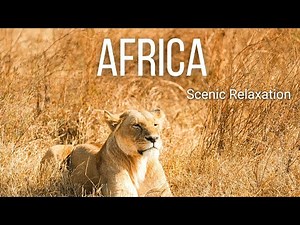 African Scenic Relaxation | Incredible Wild Nature, Wildlife & Peaceful Landscapes in 4K 🌍🌿