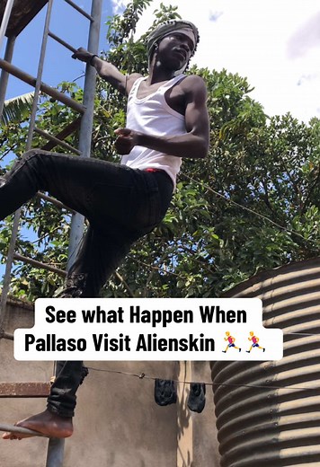 Pallaso Meets Alien Skin: Unforgettable Encounter