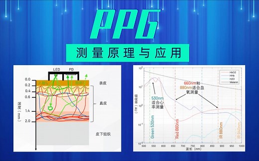 PPG原理及应用：心率、血氧与呼吸