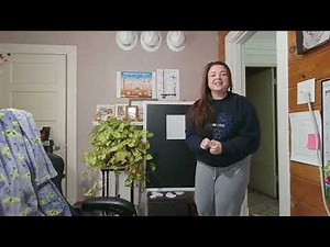 Planning Instructional Strategies for Meaningful Learning — D658 GoReact