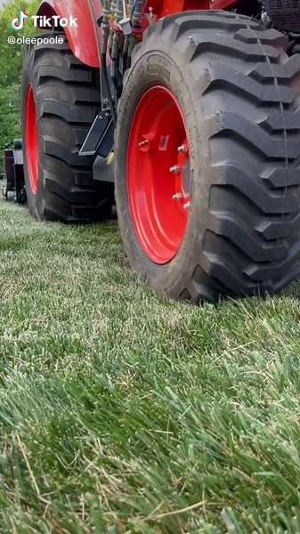 Olee Poole on TikTok