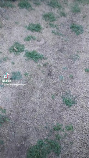 jason hawk (@jasonhawkpeninger)’s videos with Thunderstruck - AC/DC