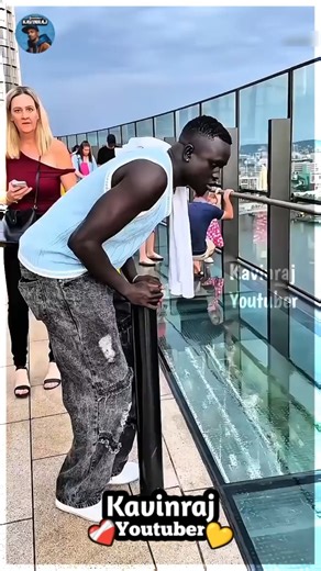 Scaredy Cat on Glass Bridge Goes Wild! 🌉 #FunnyShorts #Shortvideo