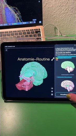 Anatomie lernen #anatomie #anatomy