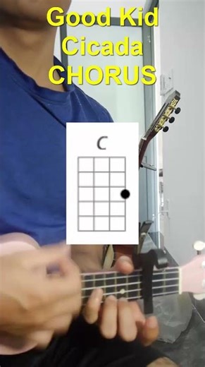 Ukulele Tutorial Good Kid Cicada