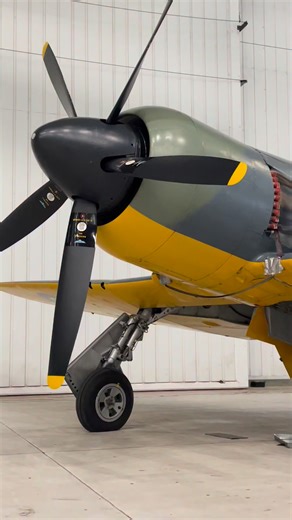 The Hawker Fury - in this case an ISS painted as a Sea Fury prototype - was the pinnacle of piston engined designs for Hawker Aircraft. She did not see service in WWII, but did see action in Korea #coldwar #ColdWarHistory #hawker #seafury #flynavy | Daniel J Wheatcroft