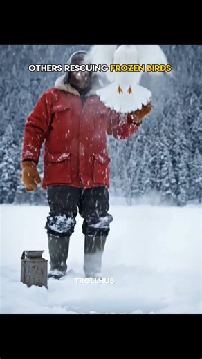 others rescuing frozen bird vs last guy ☠️