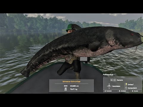 Fishing Planet Folge 354 Monster Wels am Baggersee