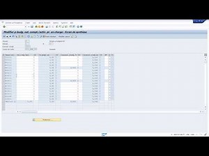 SAP FI-CO - Transaction KP06 - pré-budgétisation des centres de coûts