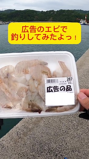 広告のエビで釣りしてみたら… #ブッコミ釣り #ぶっこみ釣り #ぶっ込み釣り #泳がせ釣り #釣り #釣り好きな人と繋がりたい #釣りスタグラム #釣り初心者 #ロックフィッシュ #根魚 #釣り好きと繋がりたい #釣り好き #釣りガール #釣りボーイ #釣りガール #ショアジギング #チニング #アジング #メバリング #エギング #穴釣り #落とし込み釣り #ヘチ釣り #コブダイ #タンコブゲーム #かぶせ釣り