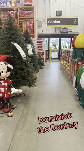 Discover Dominick the Italian Christmas Donkey at Home Depot