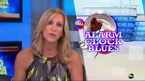 Emmy Awards 2014 Robin Williams Tribute: Billy Crystal to Honor Friend, Comedian