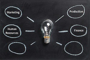 what-are-the-organization-processes