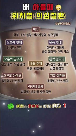 🚨배 아플 때 위치별 의심질환#복통 #건강상식 #배아플때 #위염 #맹장염 #장염 #건강관리 #생활꿀팁 #건강정보 #인생가이드명언