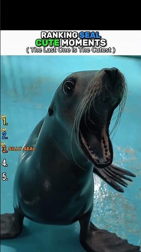 Ranking Seal Animal Cute Moments🤗 #animals #ranking #shorts