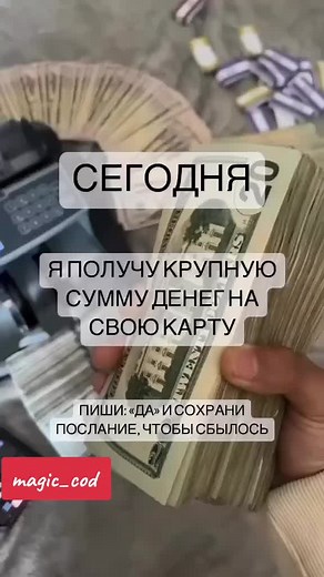 Money Counting Basics: Tips on Efficient Techniques