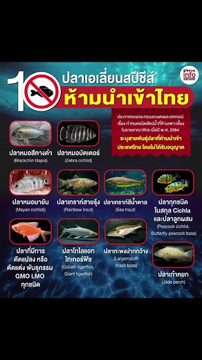 ปลาเอเลี่ยนสปีชีส์ 10 ชนิด ห้ามเลี้ยง-ห้ามนำเข้าไทย