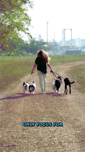 Someone Tried To Explain Focus. They Were Right. Boost Productivity...